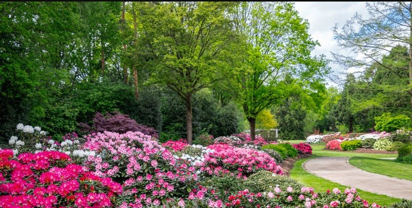 Rhododendron-Park Bremen, Germany